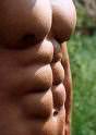 abs