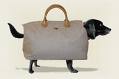 doggy-bag