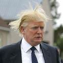 donald-trump-hair