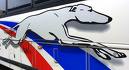 greyhound-bus