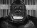 king-kong-2