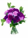 flowers-1