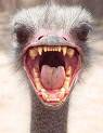 angry-1