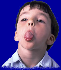 boy-brat boy-brat