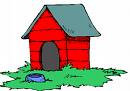 doghouse-1