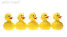 5 yellow ducks