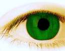 green eye jealousy