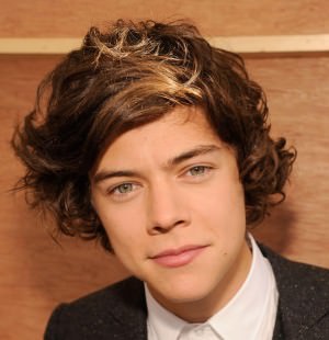 harry styles