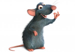 ratatouille