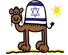 camel 19