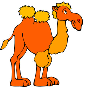 camel 2
