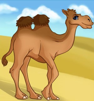 camel 32