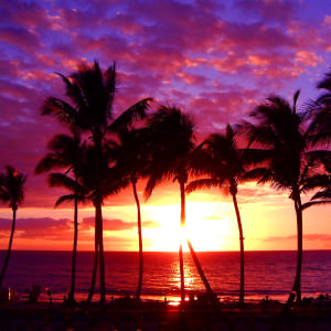 maui