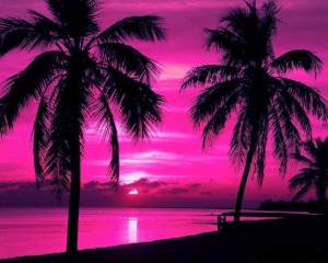 paradise