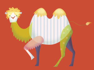 camel 16