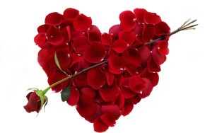 heart roses