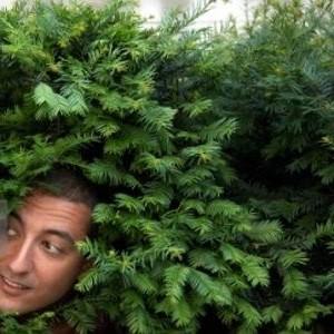 man in bushes 2