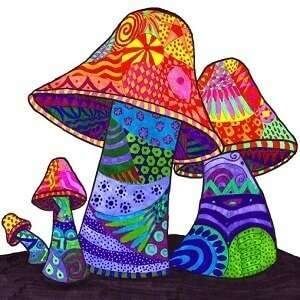 mushrooms trip-1
