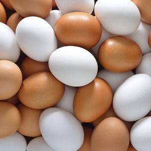 eggs 2