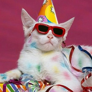 cat-party